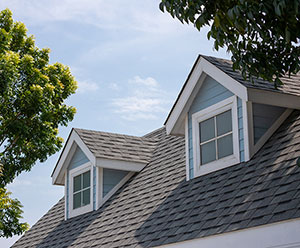 Modern roof replacement with contemporary design